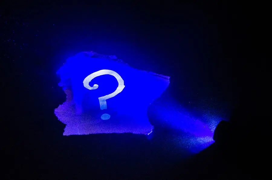 Ile kosztują usługi firm eventowych?
