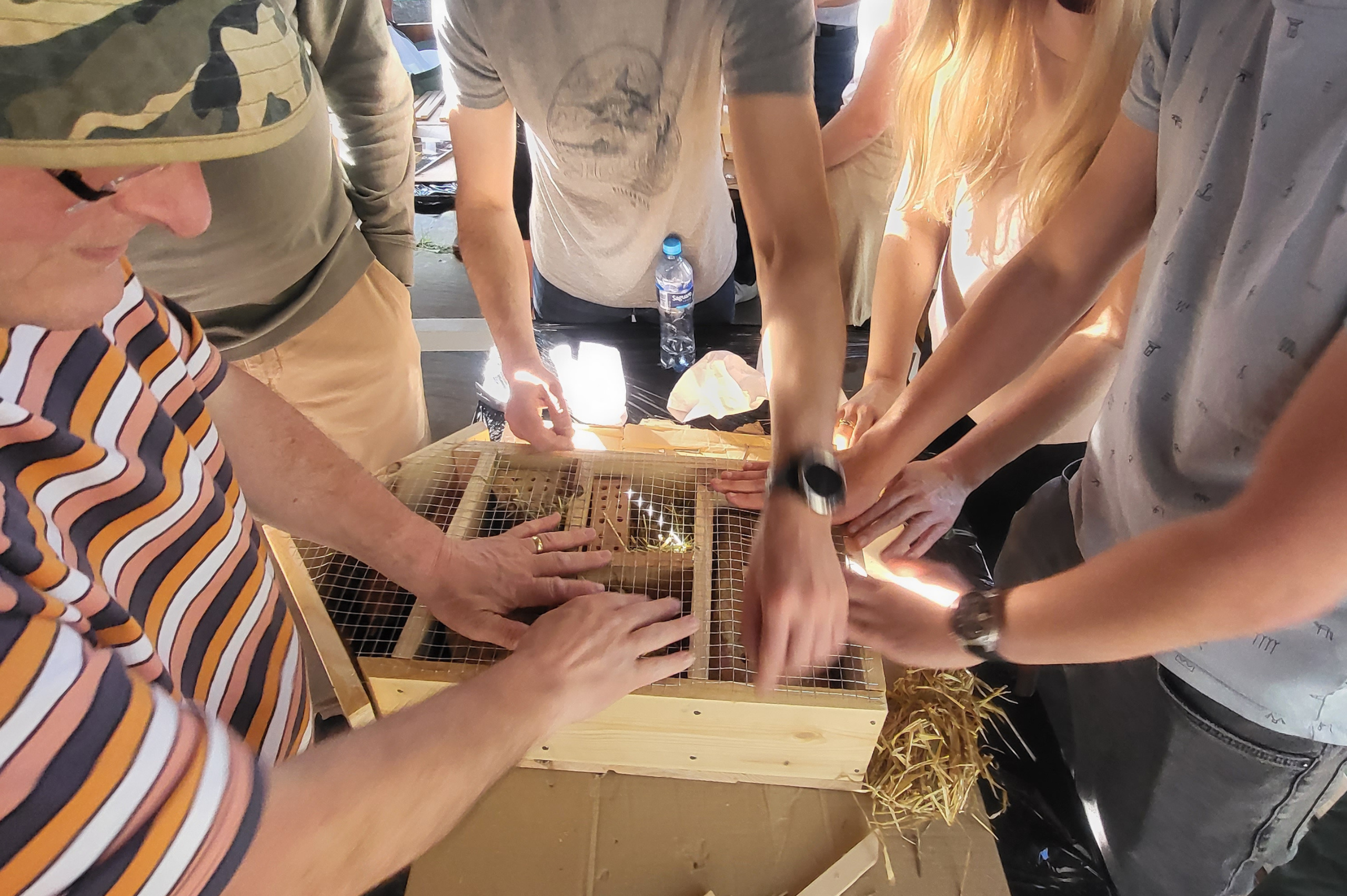 Owady na swoim – team building, który zostawia po sobie coś więcej