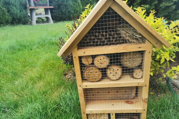 M4 for insects – an ecological CSR game